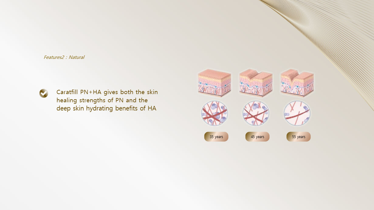 Natural Features and Skin Layers